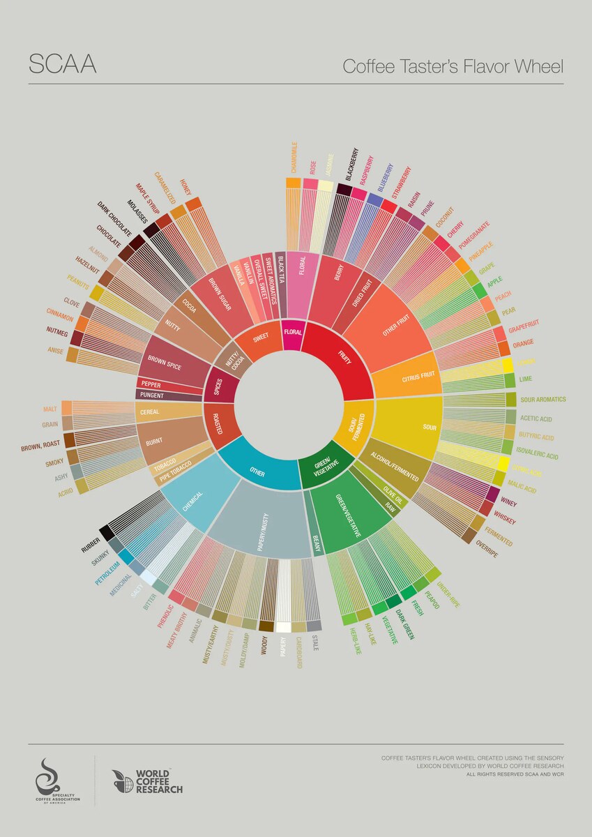 SCAA Coffee Taster's Flavor Wheel